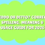 Diddo or Ditto
