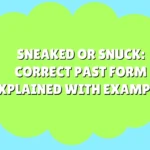 Sneaked or Snuck