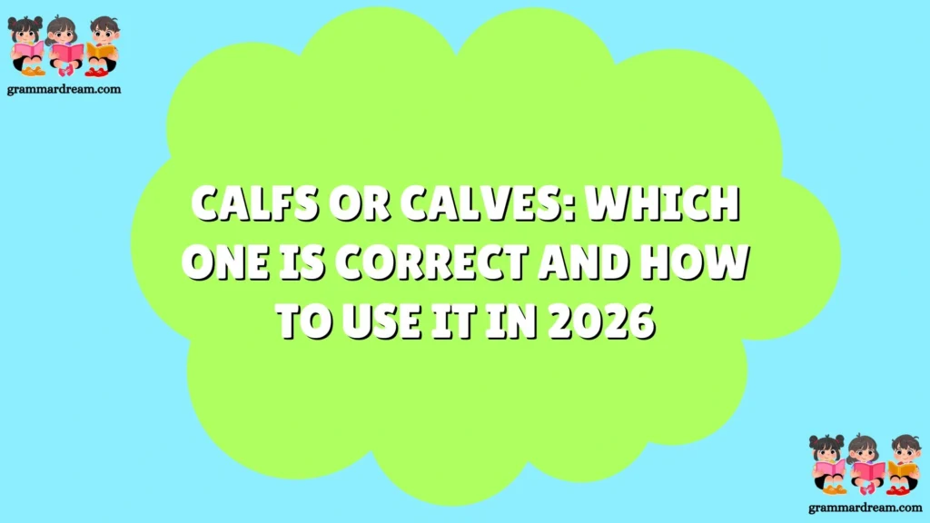 Calfs or Calves