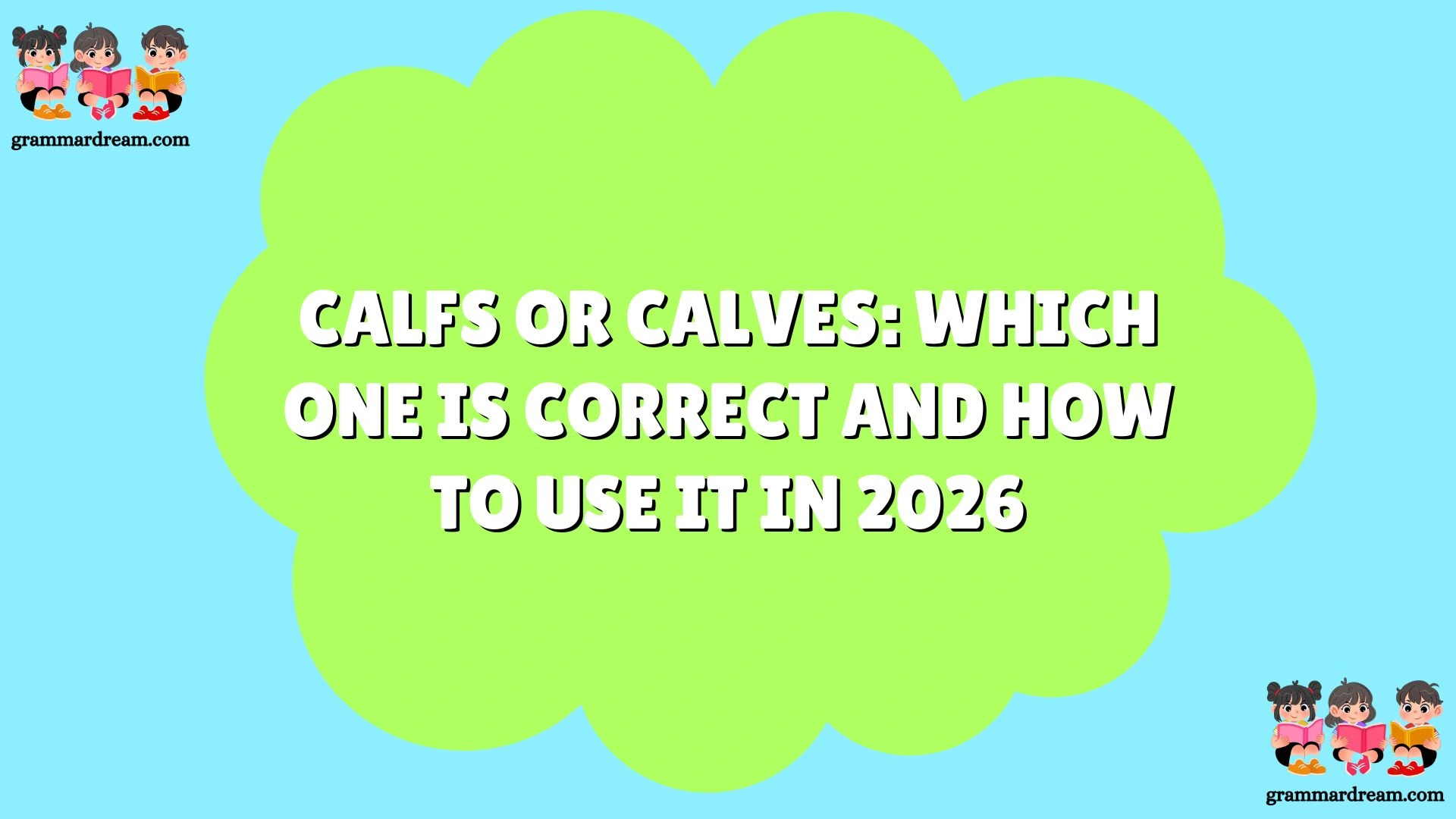 Calfs or Calves