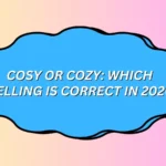 Cosy or Cozy