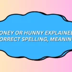Honey or Hunny Explained